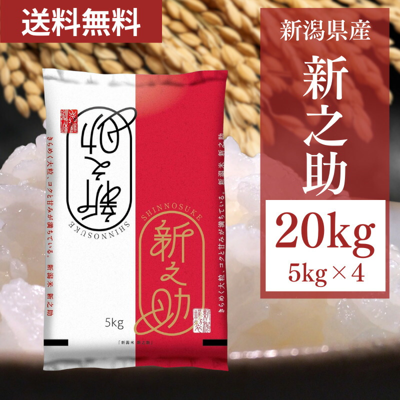 [令和6年産]  受注精米 産地直送 新之助 お米20kg(5kg×4) 【5～8営業日以内出荷】【代引不可】【送料無料※北海道追加料金※沖縄離島不可】