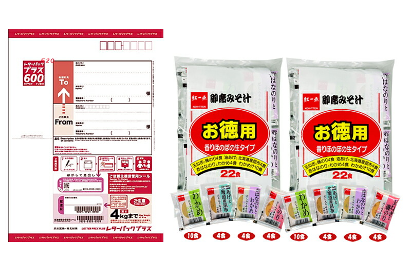 レターパックプラス 20枚 レターパックプラス 20枚 日本郵便