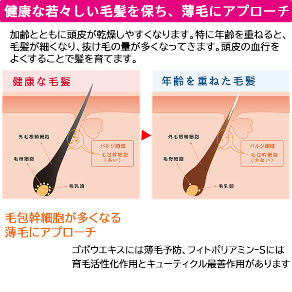 トミーリッチ 育毛剤 薄毛 抜け毛 薬用育毛剤 薬用ターゲットグロウ‐ 薬用育毛エッセンス MII 医薬部外品 ボリューム 【SALE／56%OFF】