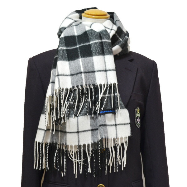 イメージカタログ 美しい 学 ラン マフラー