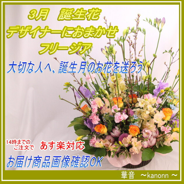 3月 誕生花 フリージアおまかせアレンジメント 送料無料 あす楽 誕生日 花 アレンジ フリージヤ 花束 お祝