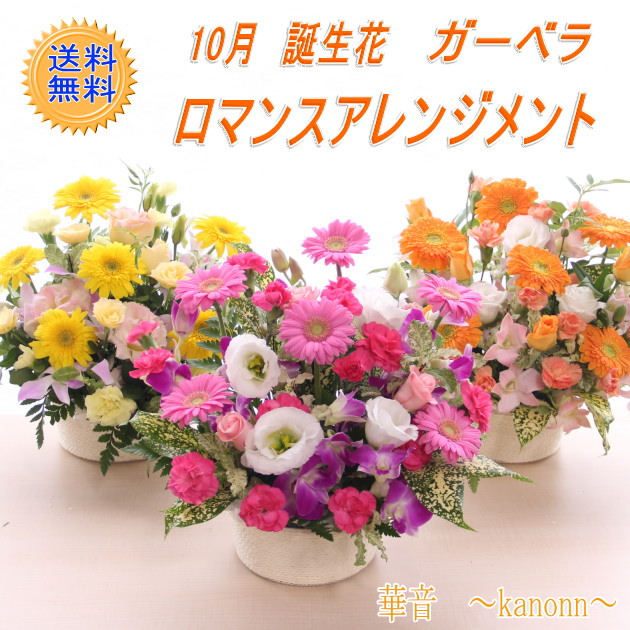 楽天市場 10月 誕生花 ガーベラロマンスアレンジ 送料無料 あす楽 誕生日 花 アレンジメント プレゼント 誕生花 ガーベラ フローリスト 華音