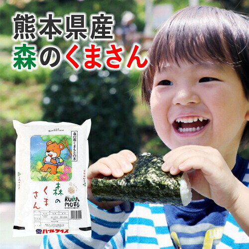 楽天市場 森の都くまもとの米 森のくまさん ５kg 業務用 栗の実