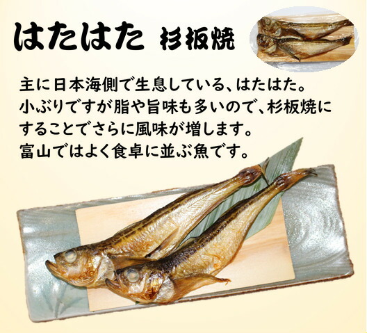 送料無料 4種の魚 杉板焼 さば 富山名物 紅さけ 燻製 はたはた アジ 焼魚