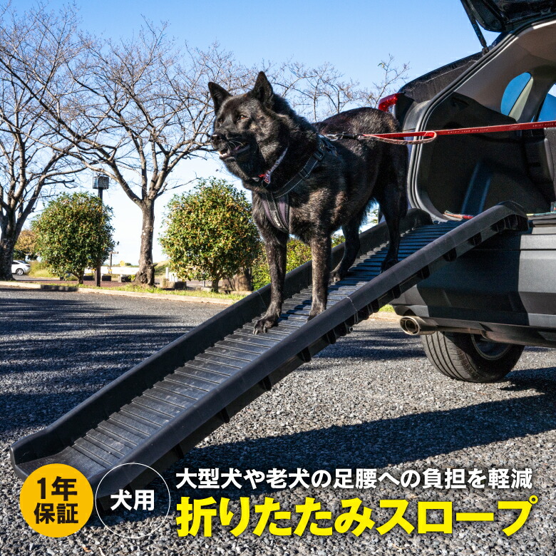 楽天市場】【AZ】 犬用 折りたたみスロープ 車載 コンパクト ドッグスロープ 車 アウトドア キャンプ お出かけ 耐荷重60kg 滑り止め ドッグステップ  ペットステップ 犬用段差 階段 踏み台 小型犬 中型犬 大型犬 アズーリ : 黒船グループ