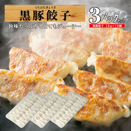 焼餃子 楽天市場】【10%OFF セール】やわらか 焼ぎょうざ (ニンニク抜き