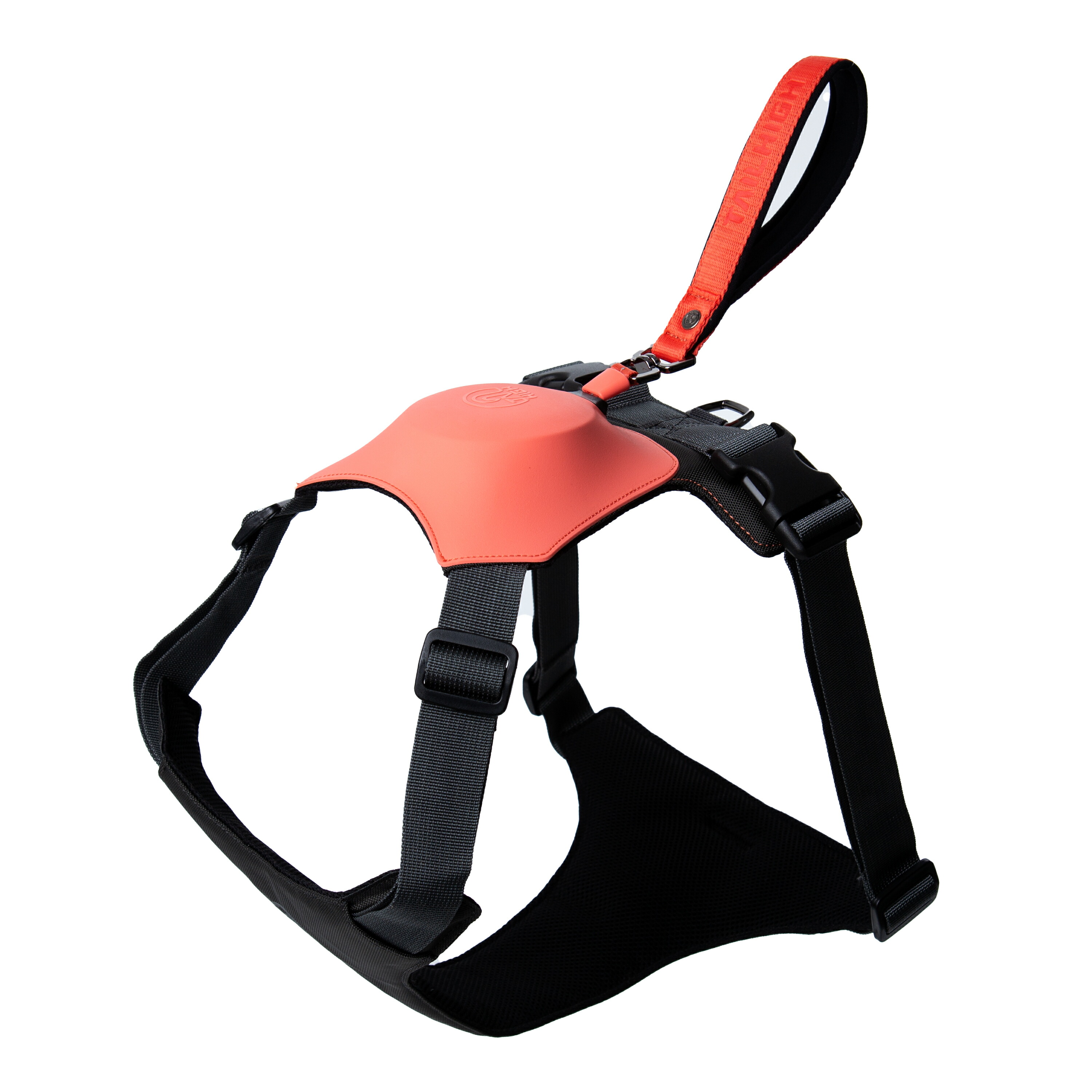 テールハイ Tailhigh 伸縮リード 一体型 ハーネス Y字型デザイン 胴輪 犬用 1 4m Mサイズ 小型犬から大型犬まで対応 Meguiars Com Do