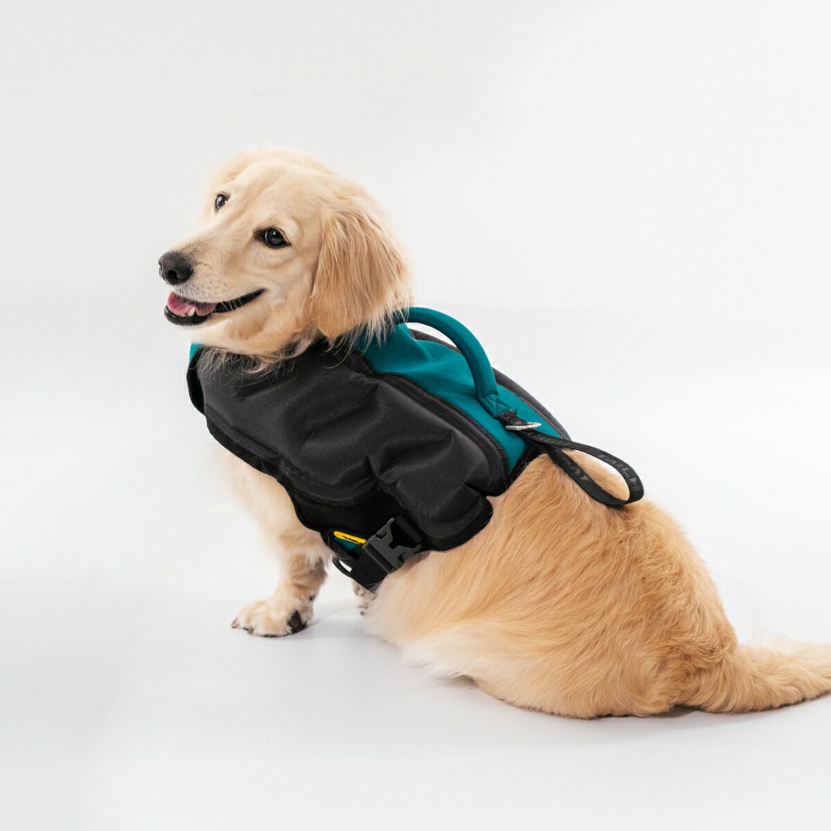 国内発送 ライフジャケット 犬用 テールハイ Lサイズ 高浮力 コンパクト おしゃれ 可愛い フローティング ベスト 救命胴衣 あごのせ ライジャケ 小型犬 中型犬 大型犬 Tailhigh ブランド 犬具 簡単装着 Lp Cursopsicologiaanalitica Com Br
