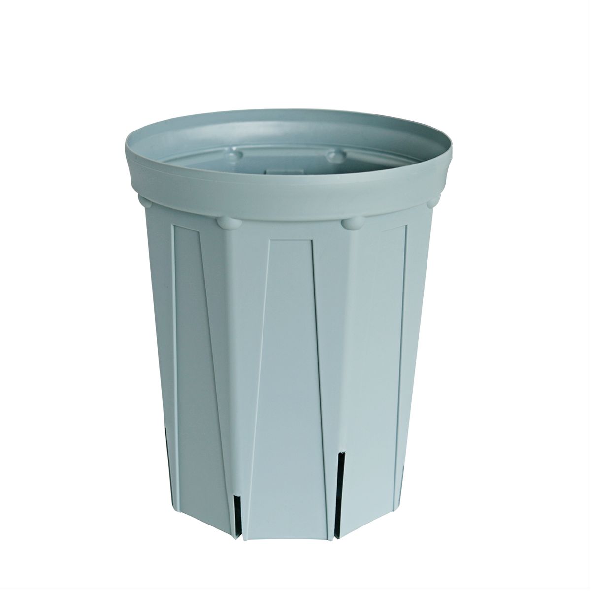 ブラヘア　カルカレア　シルバー　15号鉢つき　特大レア株❗ 楽天市場】CSM-240L シルバーグレー（8号ロング鉢）（カーメン君カラー