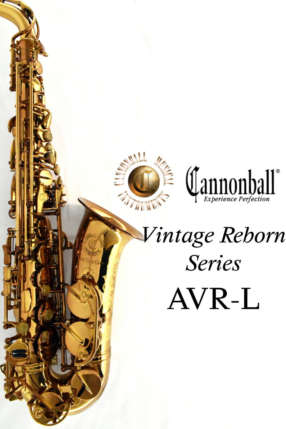 楽天市場】CANNONBALL AVR-L “Vintage Reborn Series” 【キャノン