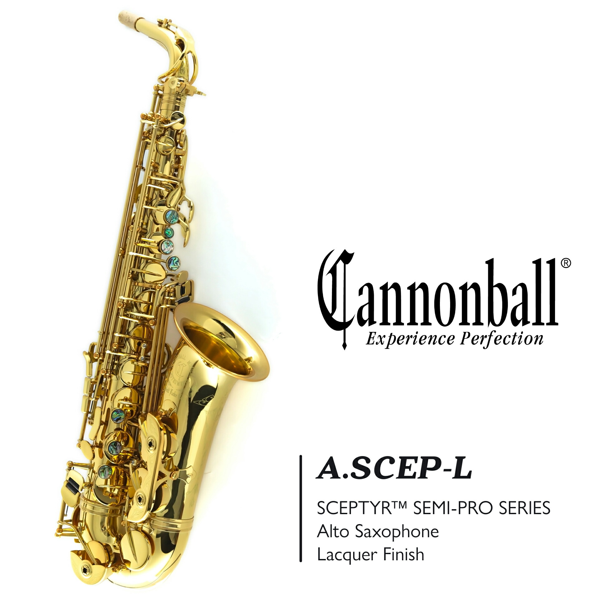 RULON ルーロン Sax Rest サックスレスト カーボンファイバー その他 Sax Rest 【Carbon Fiber】 | 【クロサワ楽器店