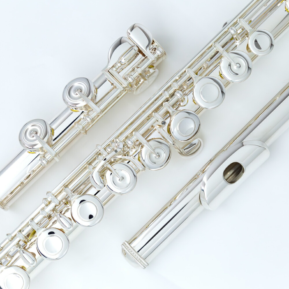 楽天市場】【お取り寄せ】【5年保証】MURAMATSU PTP RHE【新品