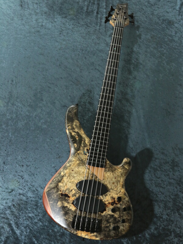 人気激安 Top 極上のトップ材 日本総本店ベースセンター在庫品 Burl Buckeye 5st Custom Sandberg ベース Williamsav Com