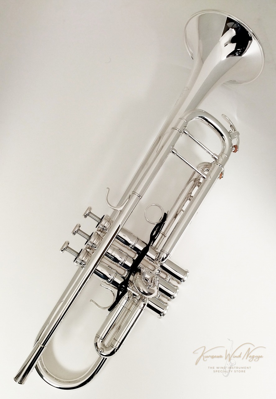楽天市場】V.Bach C180L 229/25H GBSP【お取り寄せ】【新品】【C