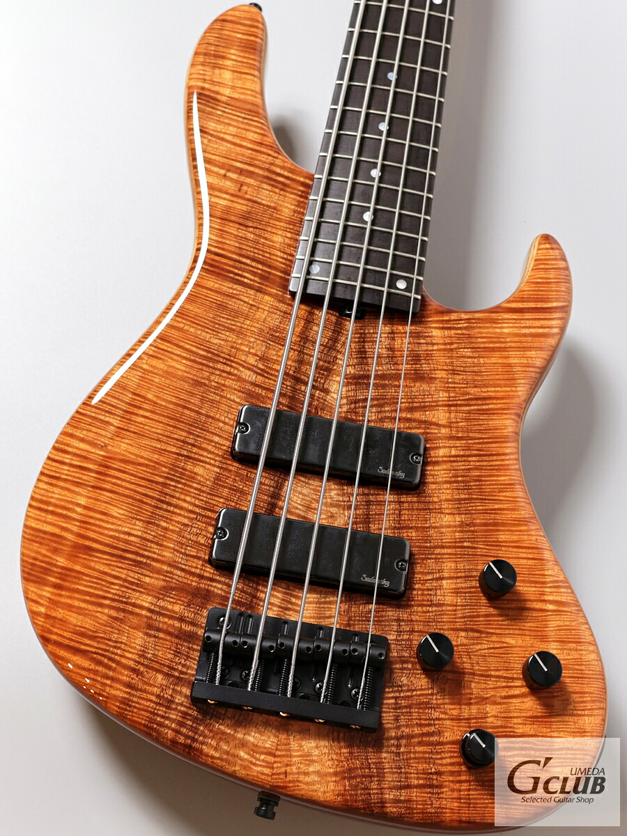 Sadowsky MasterBuilt 24-Fret Modern Bass MS5 2025 Limited Edition【AAAAAコアトップ】【重量3.58kg】【G-CLUB UMEDAベースフロア】｜クロサワ楽器65周年記念SHOP