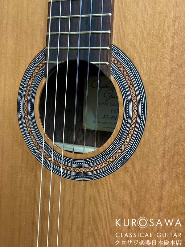 Orpheus Valley Guitars F65C オルフェウス・ヴァレー・ギターズ 杉