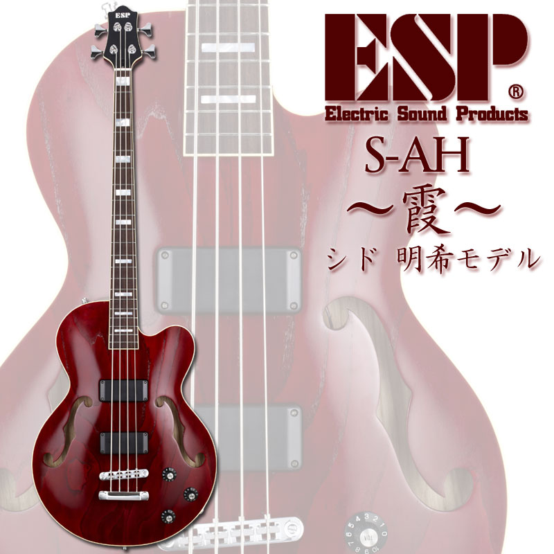 新品本物 楽天市場 Esp S Ah 霞 Sid シド 明希 Model Ah Red 受注生産品 送料無料 Online Store クロサワ楽器60周年記念shop 宅送 Www Ssipeople Com