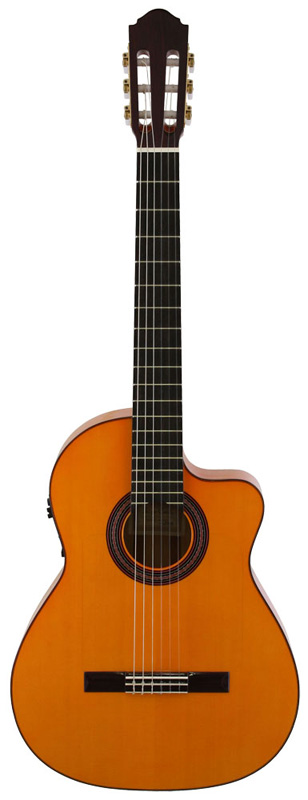 買い物 Takamine クラシックシリーズ NO.37N gloss 《クラシックギター