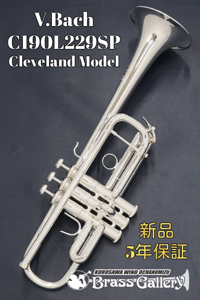 楽天市場】V.Bach C180L 239/25C GBSP【お取り寄せ】【新品】【C