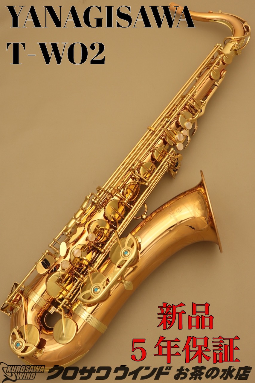 YANAGISAWA T-50 テナーサックス 231219t500_1054t1217_01.JPG