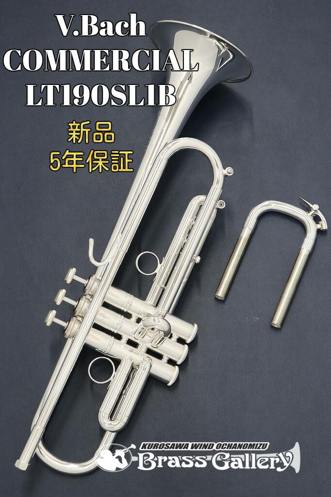 V.Bach stradivarius C180L 229 25H トランペット imgrc0113184414.jpg