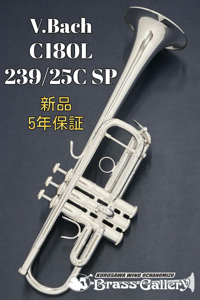 ブラックバーン Bach C管 MLボア用主管 imgrc0114121922.jpg