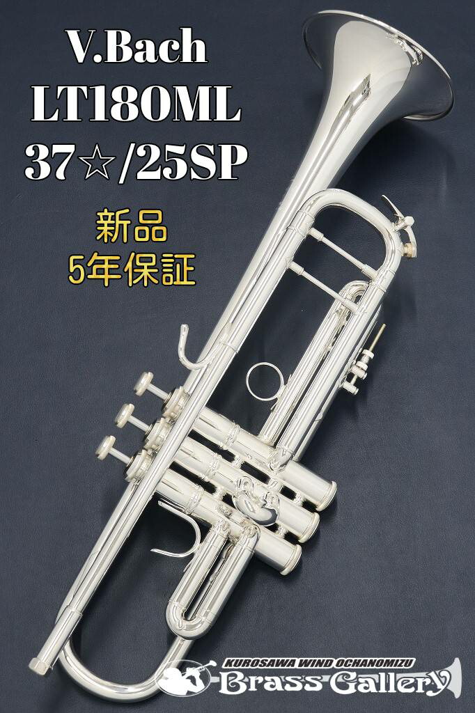 Bach C管　トランペット239 GP パック　トランペット　GP imgrc0114206919.jpg
