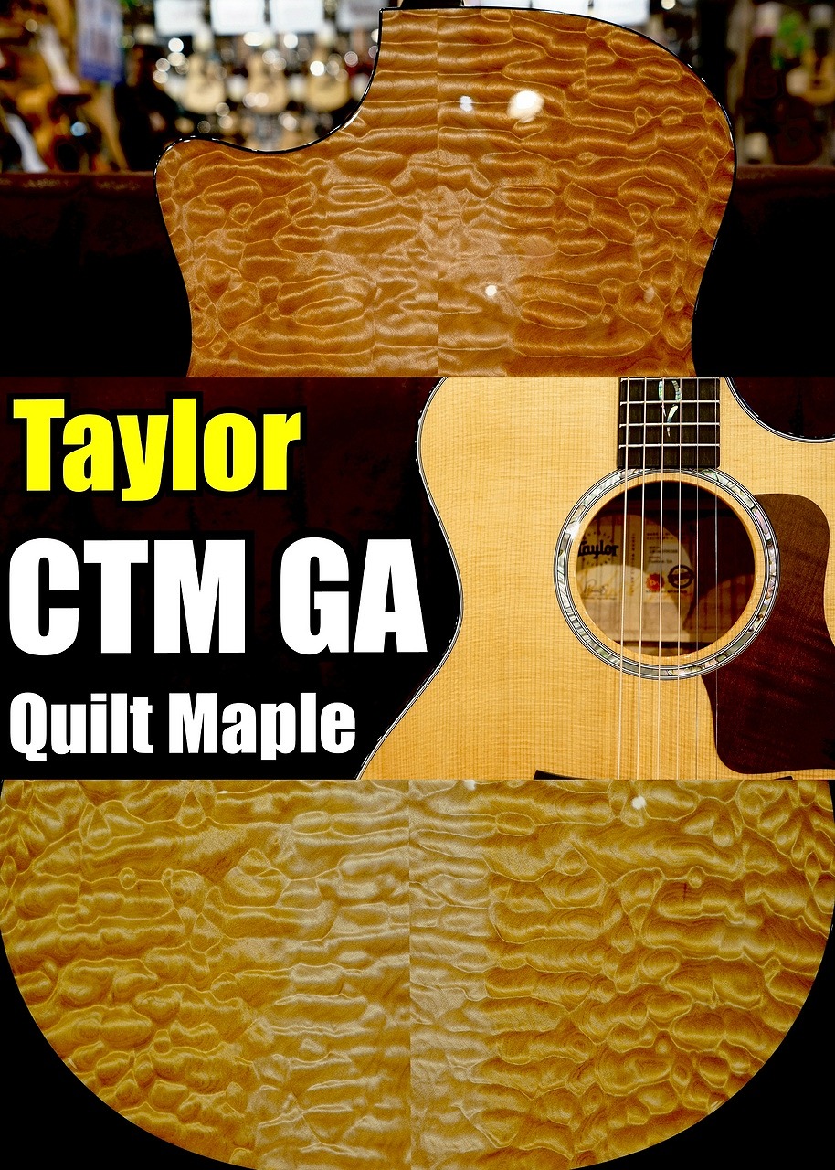 Taylor 【個体演奏動画あり】CTM GA -Quilt Maple J-Spec【アンディ パワーズ選定 極上杢目】【福岡ミーナ天神店】|クロサワ楽器65周年記念SHOP