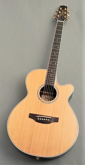 dmp50s takamine 今日中のみ9に値下げしてます-