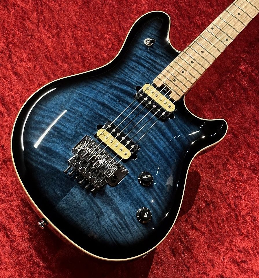 楽天市場】Peavey（ピーヴィー）HP2 Tiger Eye TR : STARROW ONLINE STORE