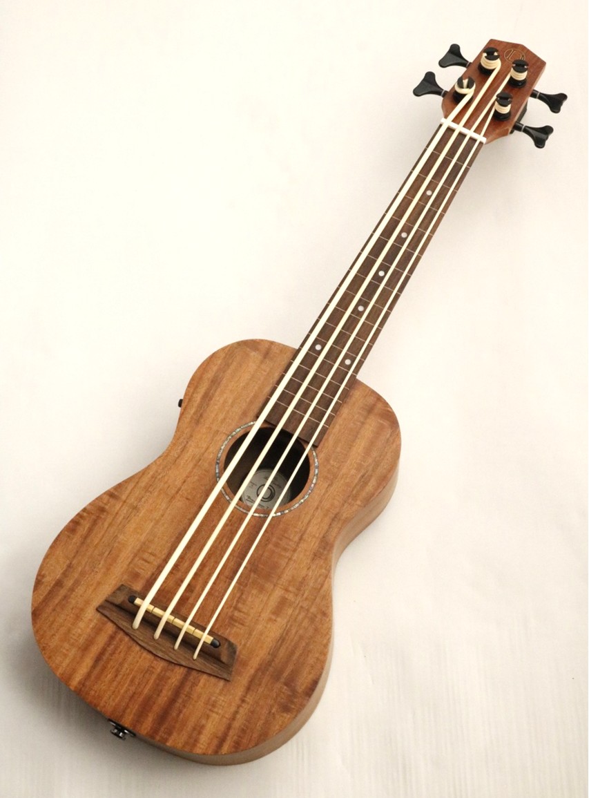 楽天市場】Aria ( アリア ) AUB-CE/FL【ウクレレベース フレットレス