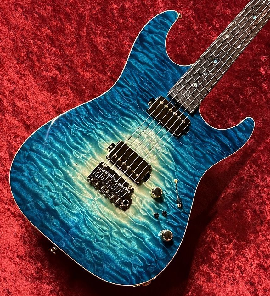 T's Guitars ギグバッグ DST用ギグバッグ | T's Guitars-shop