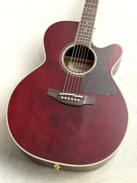 楽天市場】Takamine DMP551C WR 新品 ワインレッド[タカミネ][国産
