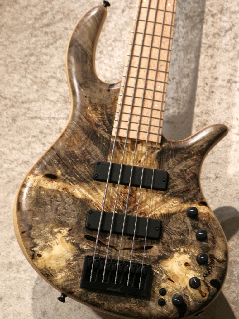 Elrick Gold Series e-volution 5 -Buckeye Burl-【3.42kg】【池袋店】|クロサワ楽器65周年記念SHOP