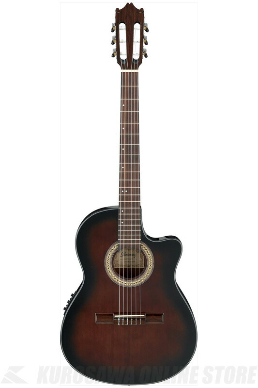 楽天市場】Ibanez アイバニーズ GA30TCE DVS エレガット