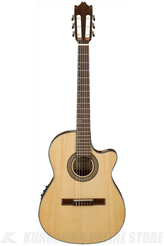 Ibanez アイバニーズ　GA30TCE-DVS エレガット　（新品） Ibanez アイバニーズ ギター クラギ エレガット GA30TCE-DVS