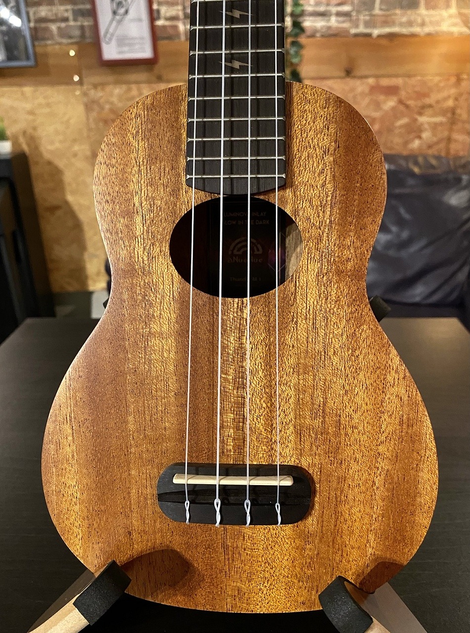 aNueNue Lumi Thunder Mahogany I