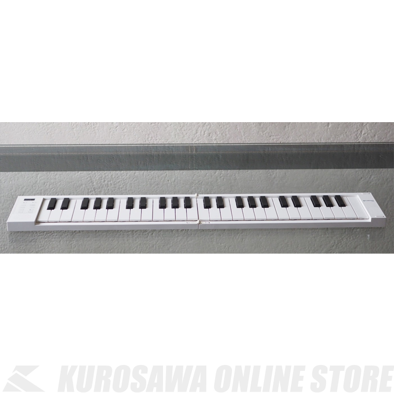 Tahorng Oripia49 フルサイズ49鍵折りたたみ式電子ピアノ Midiキーボード Op49 送料無料 Online Store Agam Tavniyot Co Il