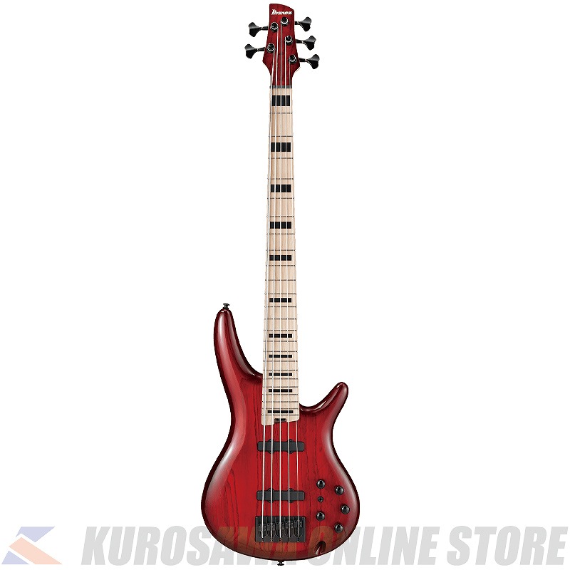 楽天市場】【300W】Ibanez Promethean P3110D 新品 ベース用