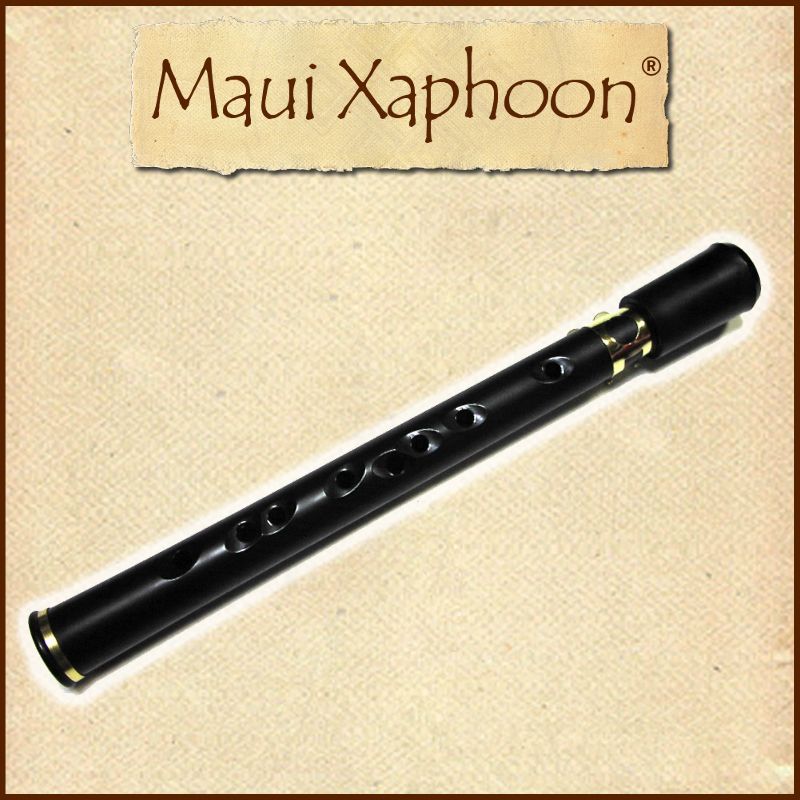 ポケットサックス（ザフーン） 楽天市場】Xaphoon ザフーン ポケットサックス 国内正規品