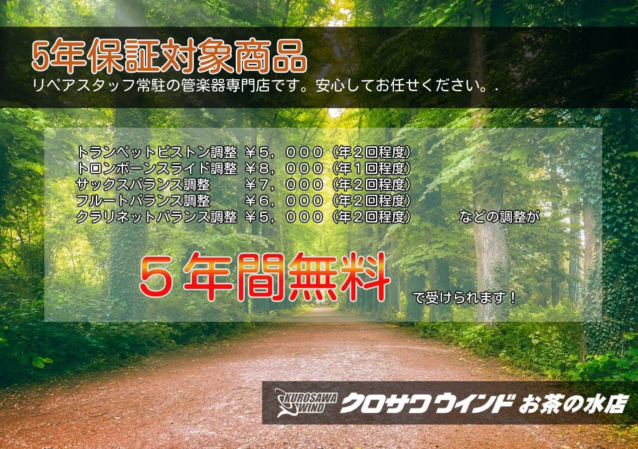 待望 Sp お取り寄せ C管 バック シカゴモデル ウインドお茶の水 ウインドお茶の水店 C180sl229cc Bach 金管楽器 Williamsav Com