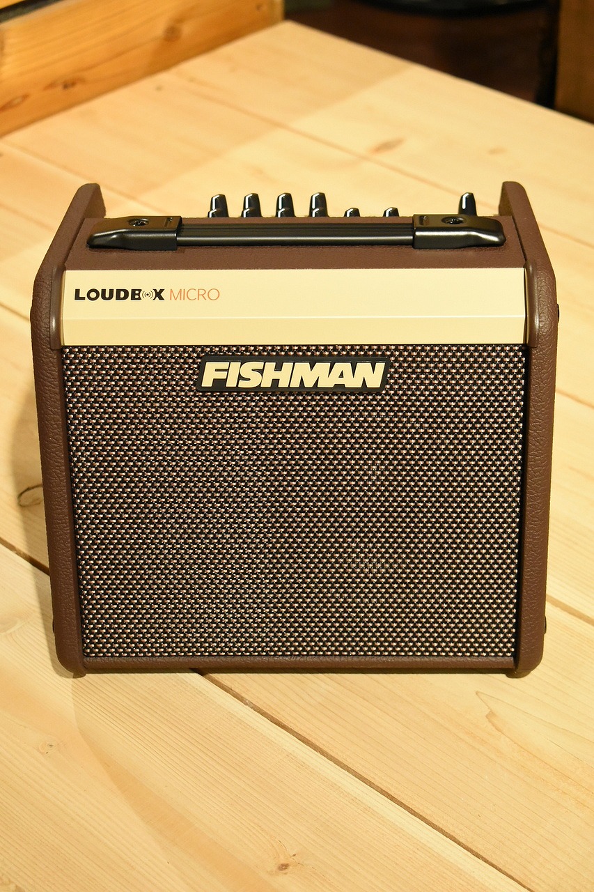 FISHMAN Loudbox Micro Amplifier【40W】【送料無料】【横浜店】｜クロサワ楽器65周年記念SHOP 35,750円