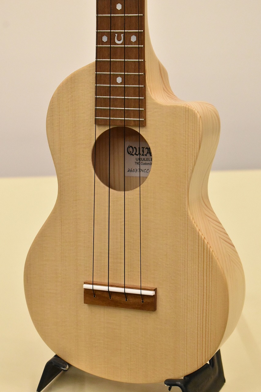 QUIAM TNC Custom 300 #2603TNCC01EN【最上位モデル】【横浜店】｜クロサワ楽器65周年記念SHOP