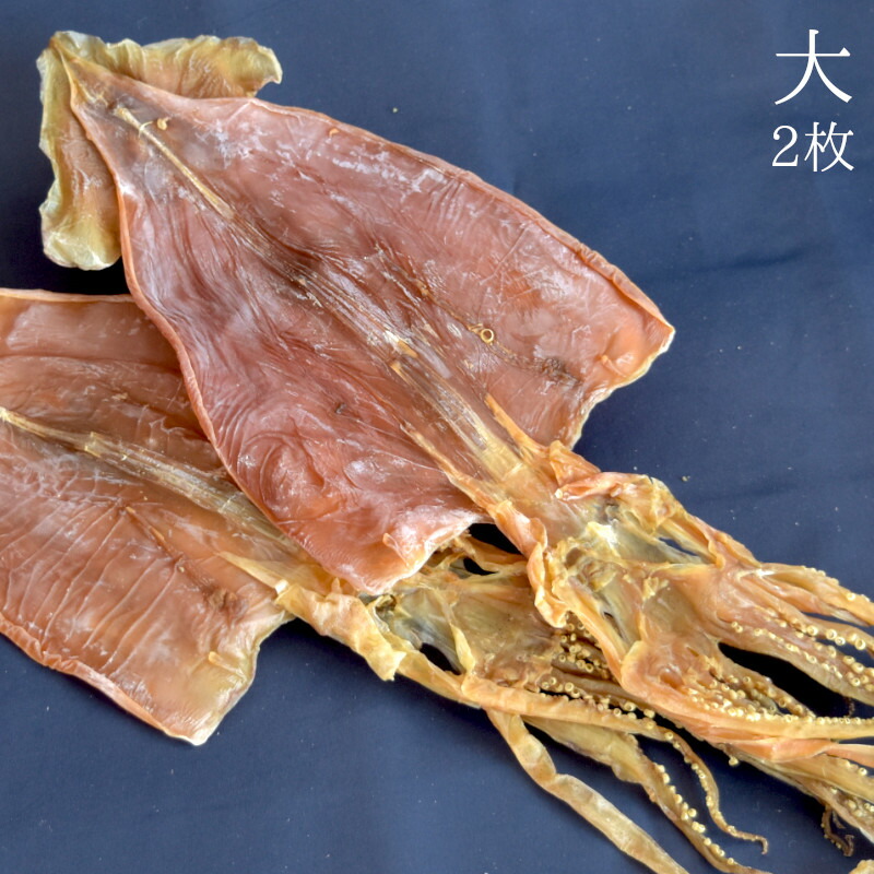 楽天市場】珍味 するめ 送料無料 いか 特大サイズ 10枚 北海道産