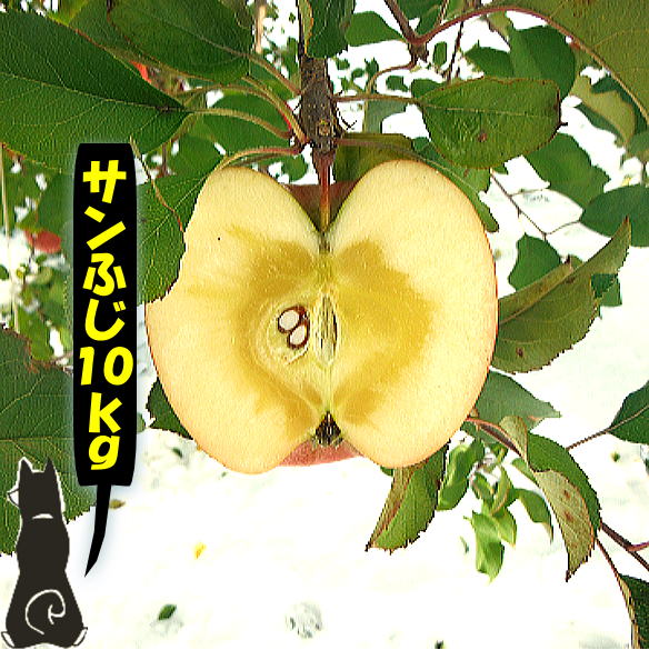 楽天市場】【数量限定】こうとく（高徳）りんご 青森県産1箱10kg（36