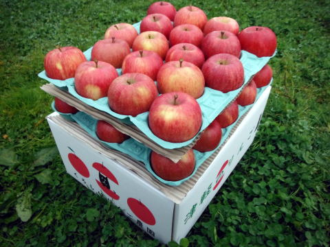 くろし ば りんご 農園