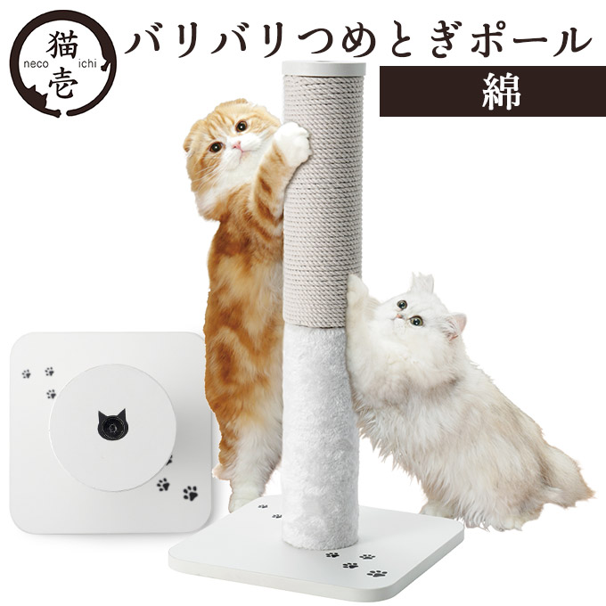 楽天市場】10/24 9:59まで【最大350円OFFクーポン】ペットプロ 猫ちゃんのつめみがき U字型 2個入  木目BOX付【お手入れ用品/ダンボールタイプ/スクラッチャー】【爪とぎ・爪研ぎ/つめみがき・爪みがき・爪磨き】【ペットプロ・petpro】 :  ペッツビレッジクロス〜ペット通販