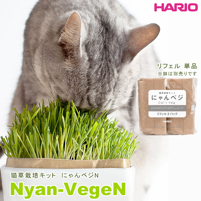 楽天市場 9 21 09 59まで 最大350円off Hario 猫草栽培キット にゃんベジ リフィル2パック ハリオ 栽培キット 毛玉 ヘアボール えん麦 猫のおやつ 猫用品 ペッツビレッジクロス ペット通販
