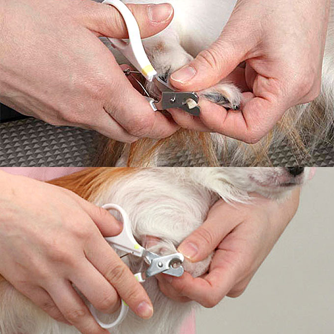 ニューハニースマイル 犬用 きり つめ つめ切り カット カーブ ケア ツメ ツメきり ツメ切り ドギーマンハヤシ ミニ 切り 巻き爪 整える 爪 爪切り 海外輸入 カーブ