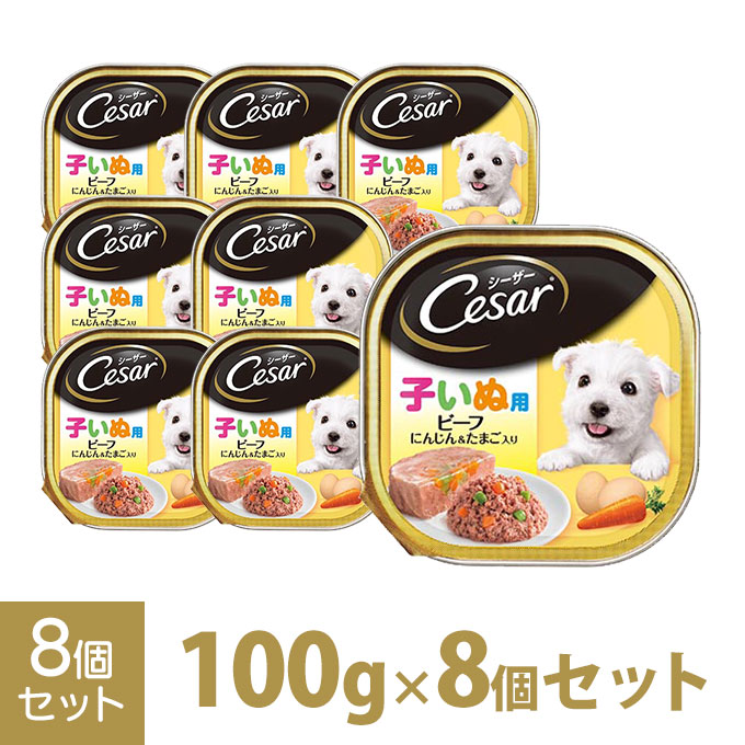 送料無料 まとめ シーザー 2ヶ月からの子いぬ用 ビーフ にんじん たまご入り 100g ペット用品 犬フード fucoa.cl